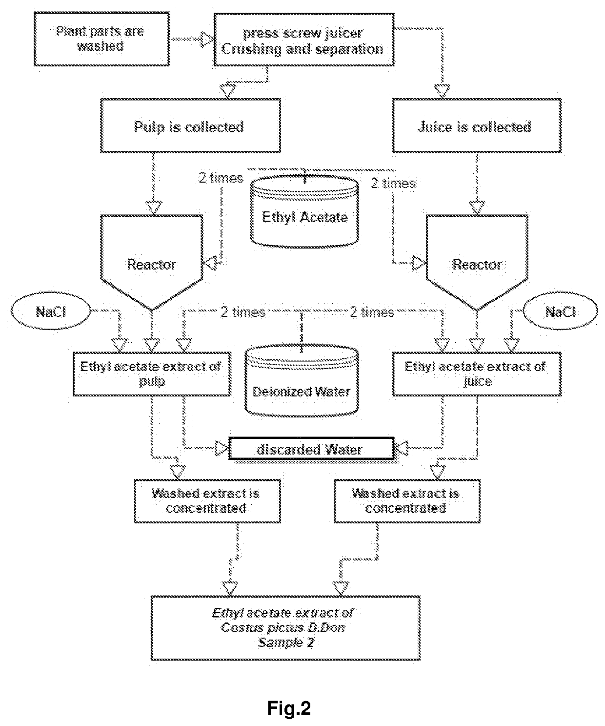 A coated costus composition enriched with triterpenoids and a method of preparation of the same