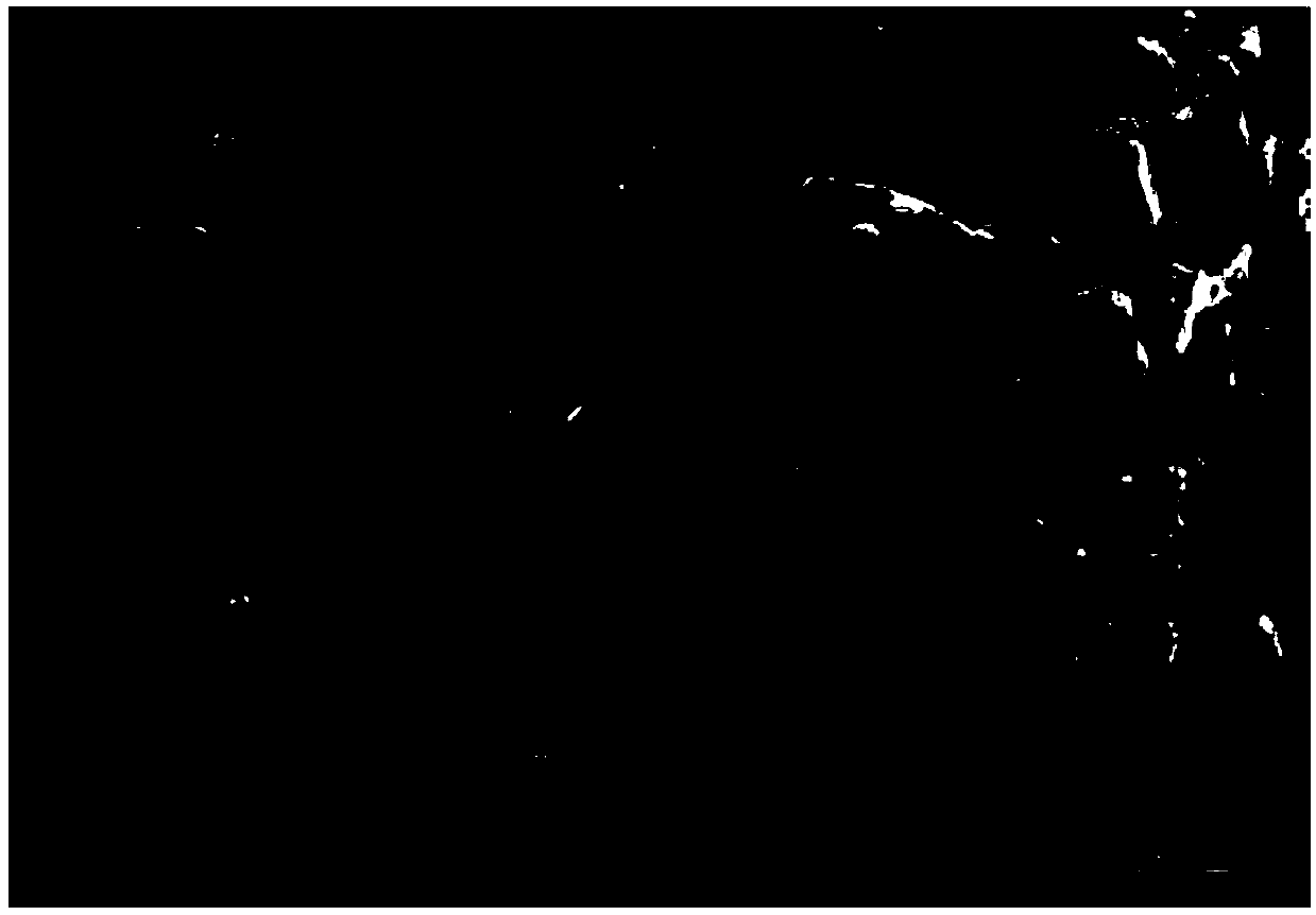 Low-temperature curing silver/silver chloride slurry for flexible bioelectrode and preparation method thereof