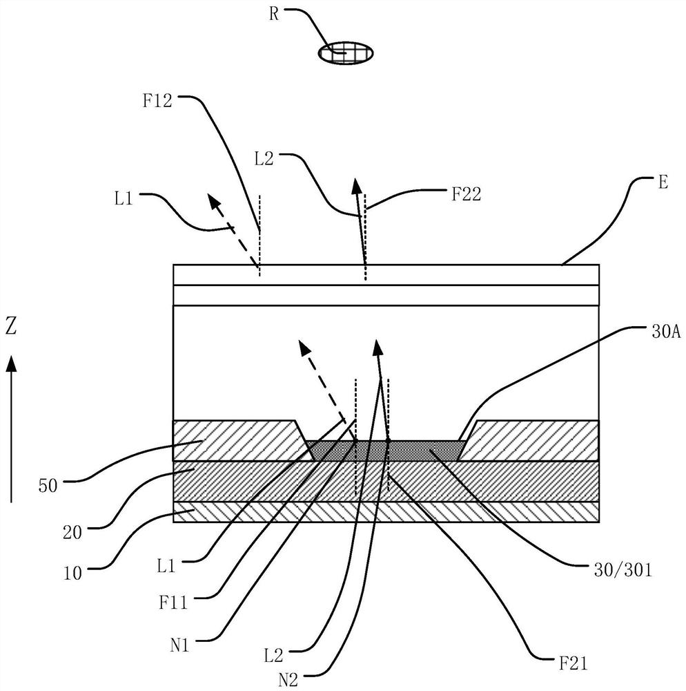 Flexible display panel and display device