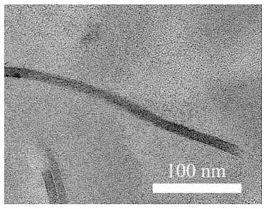 Novel organic-inorganic hybrid sheet Janus heat conducting filler and preparation method thereof