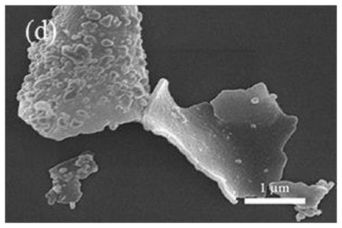 Novel organic-inorganic hybrid sheet Janus heat conducting filler and preparation method thereof