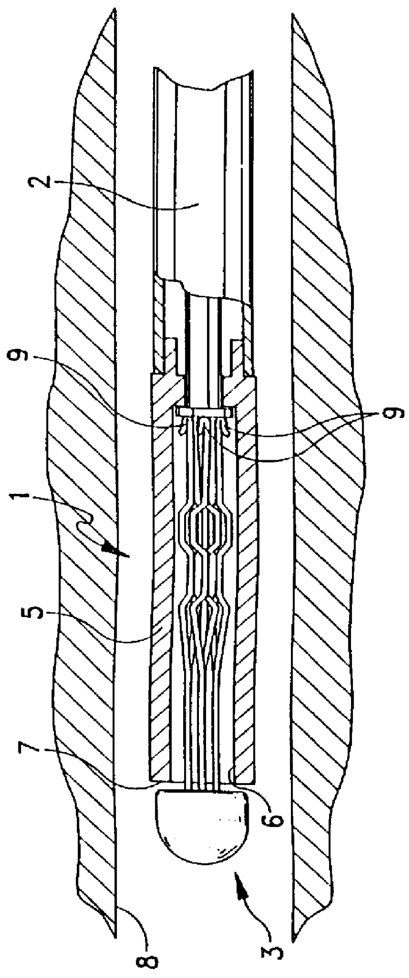 Vena cava delivery system