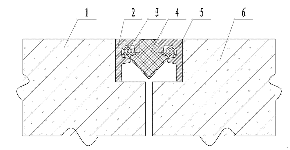 Sealing protection structure for road bridge expansion device