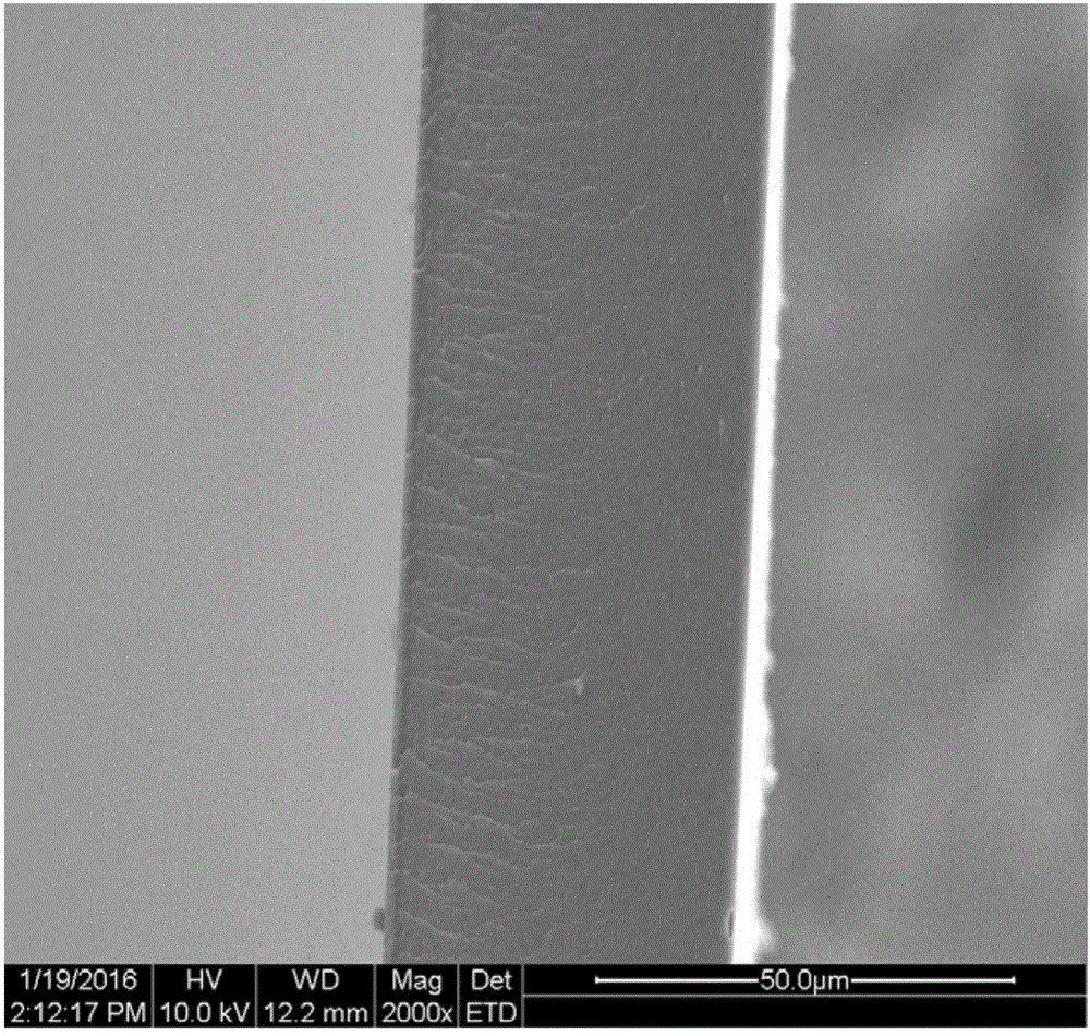 {0&gt;&lt;}0{&gt;Low-temperature alkaline fuel cell anion exchange membrane and preparation method thereof