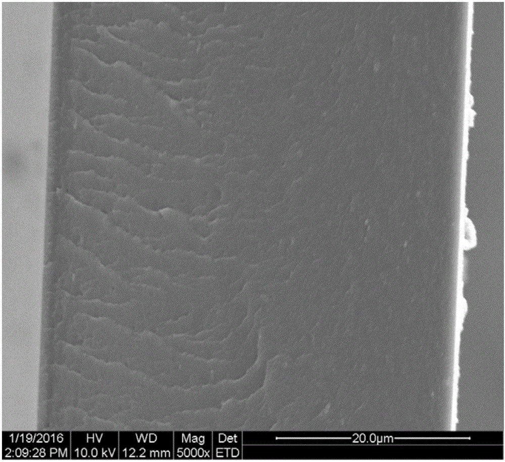 {0&gt;&lt;}0{&gt;Low-temperature alkaline fuel cell anion exchange membrane and preparation method thereof