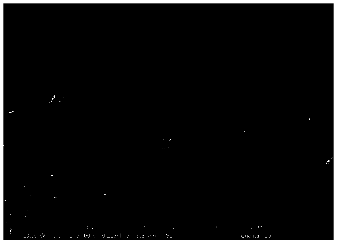 Preparation method of active nano porous nickel/nickel oxide load ultra-thin nickel cobaltate nanosheet flexible electrode material