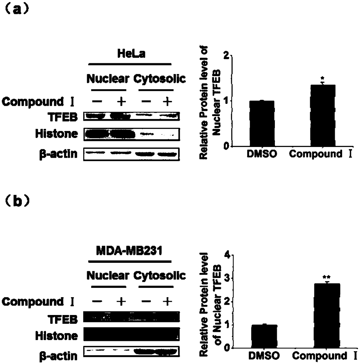 Novel use of amine hydrochloride compound