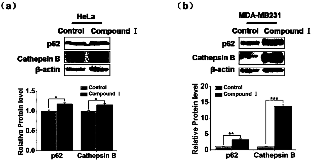 Novel use of amine hydrochloride compound