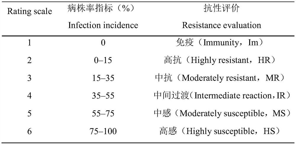 Identification method for resisting hard smut of highland barley