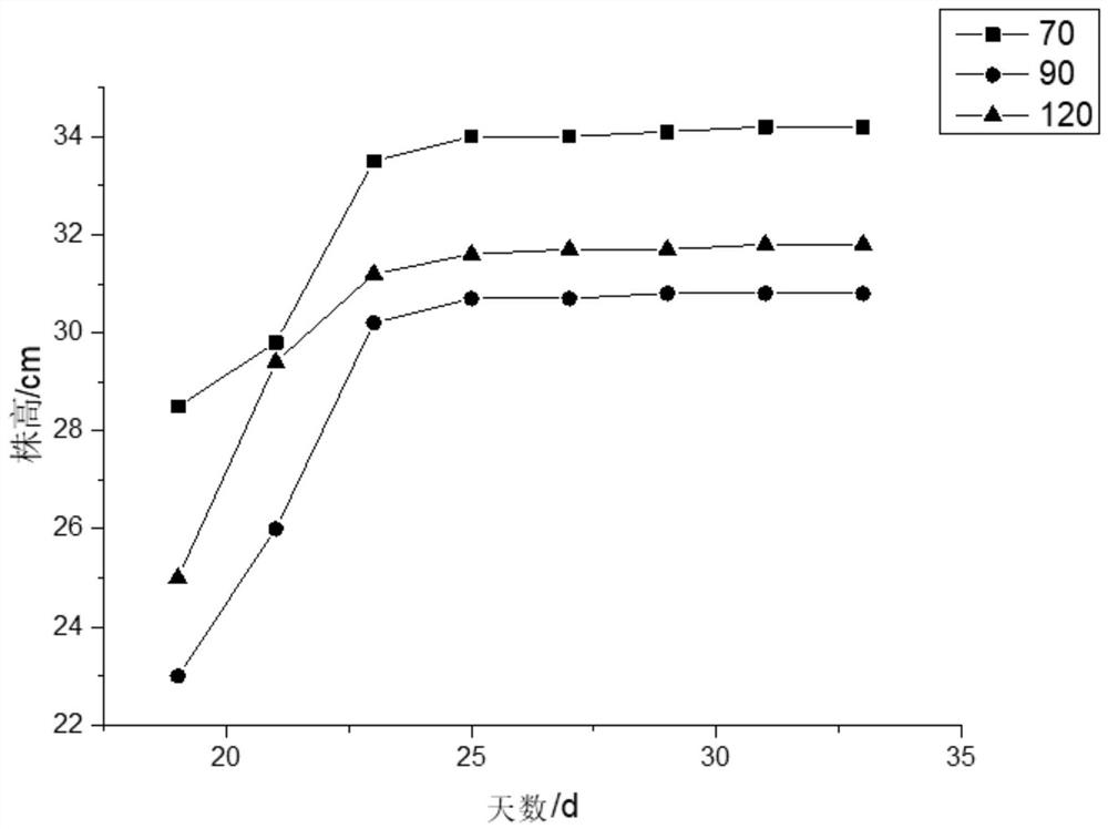 Method for remediating cesium-contaminated soil through forage grasses and method for remediating cesium-contaminated soil through forage grasses and microorganisms