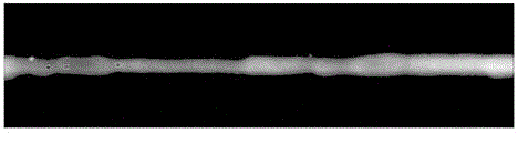 Pressure vessel weld defect identification method and device based on neural network