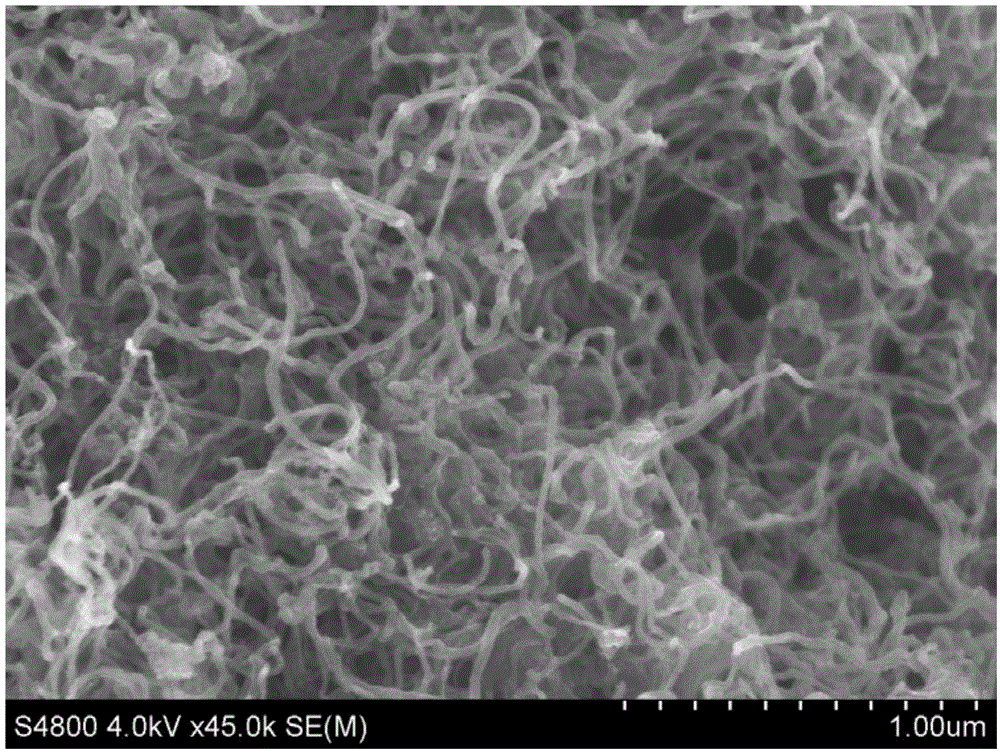 Nitrogen-doped porous carbon/sulfur composite material and preparing method and application thereof