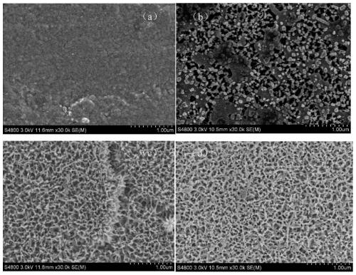 Titanium implant material with anti-infection and osseointegration promoting functions, and preparation method thereof