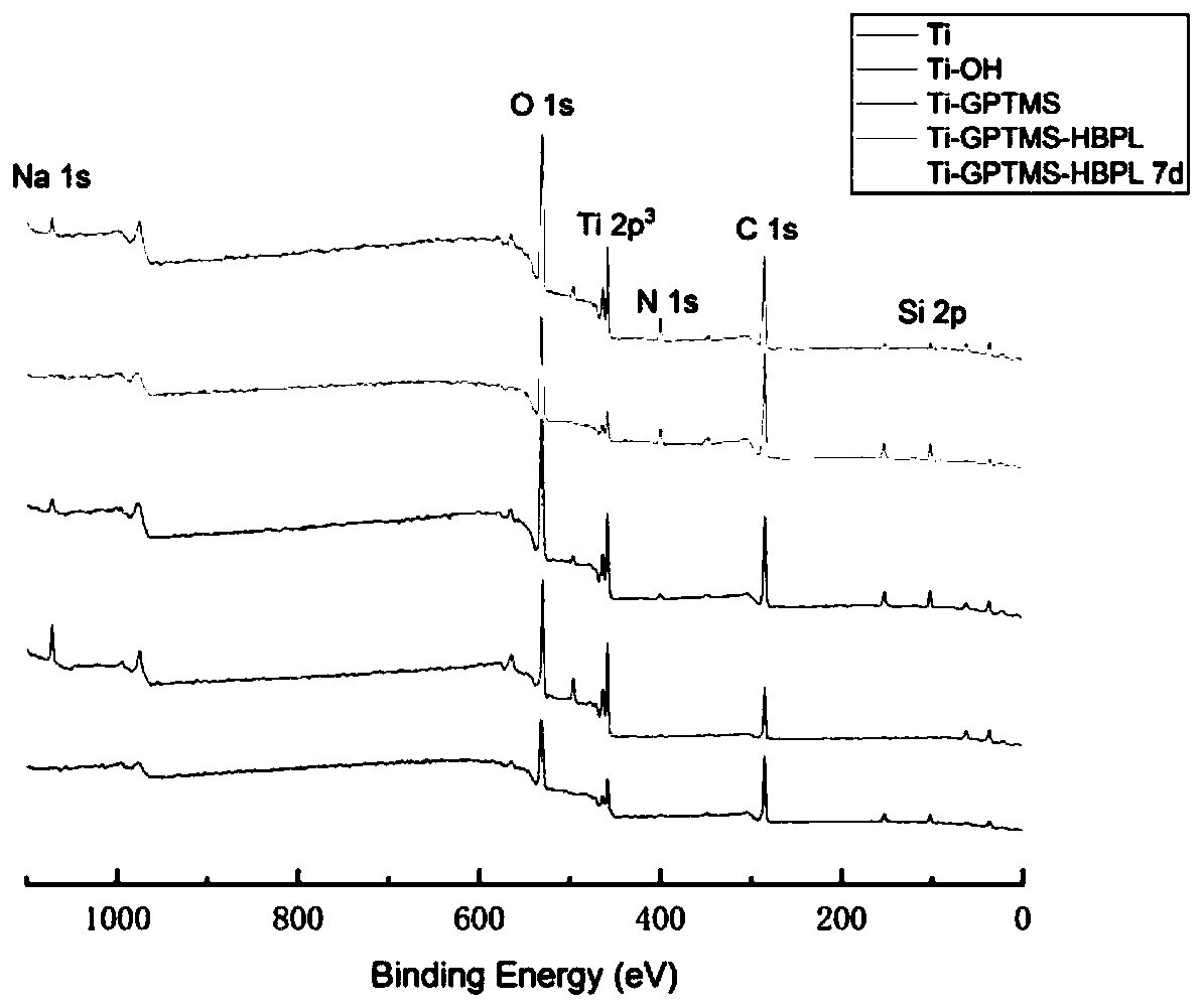 Titanium implant material with anti-infection and osseointegration promoting functions, and preparation method thereof