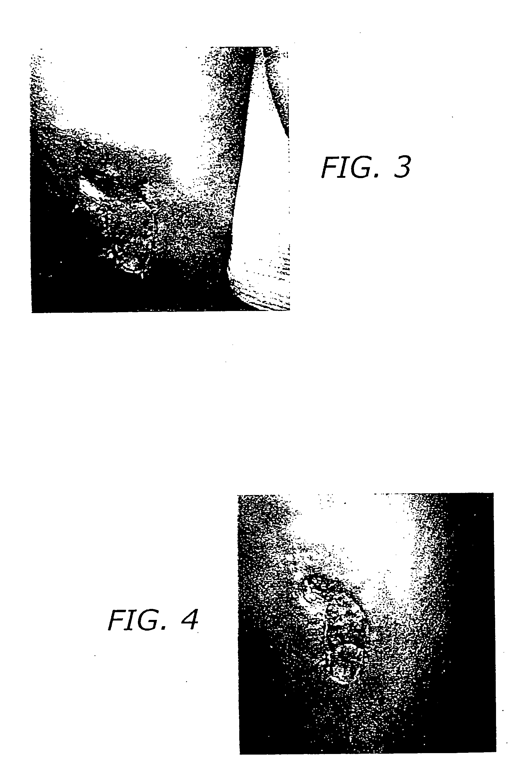 Peptides with wound healing activity