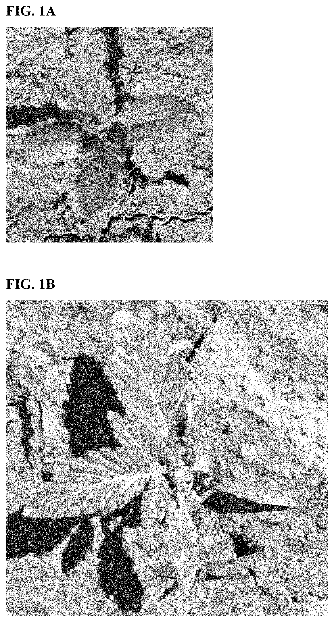 Hemp plant named ‘CW1AS1’