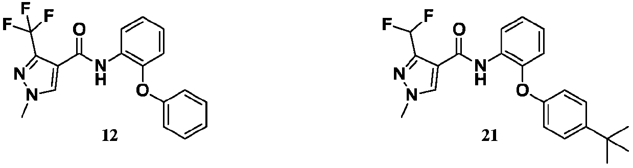 Pyrazole amide compound and application and bactericide thereof