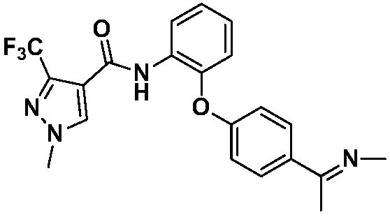 Pyrazole amide compound and application and bactericide thereof