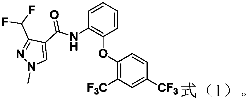 Pyrazole amide compound and application and bactericide thereof