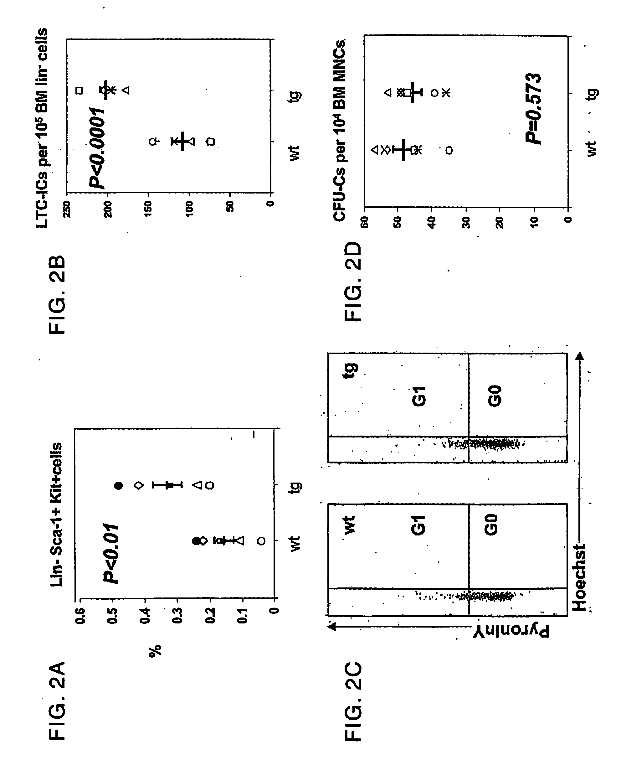 Parathyroid hormone receptor activation and hematopoietic progenitor cell expansion