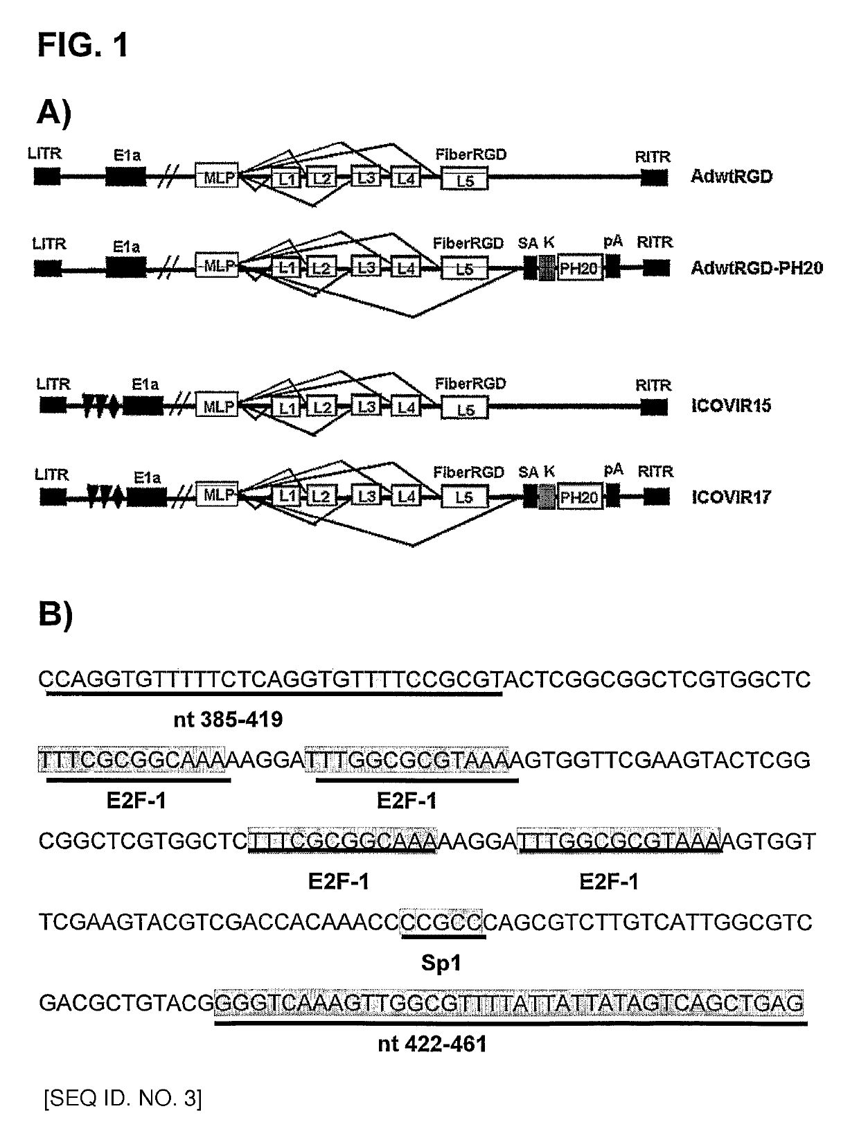 Oncolytic adenoviruses for treating cancer