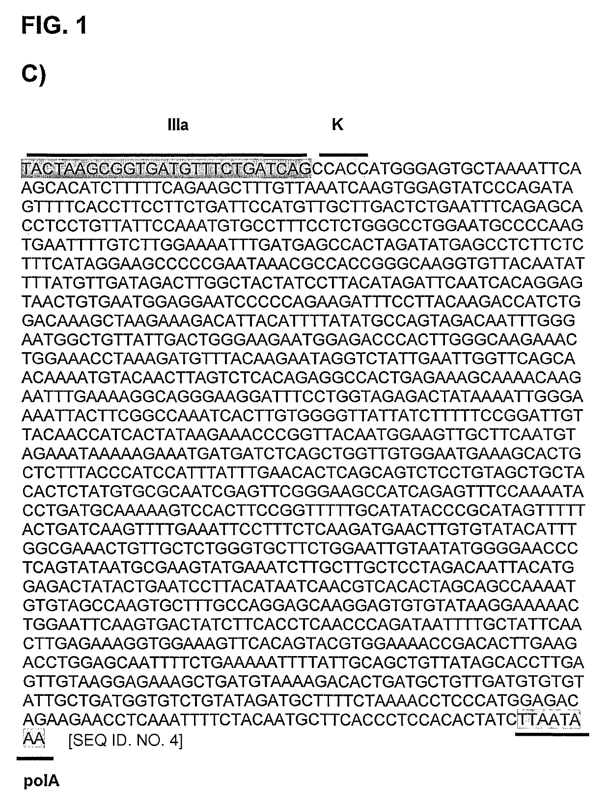 Oncolytic adenoviruses for treating cancer