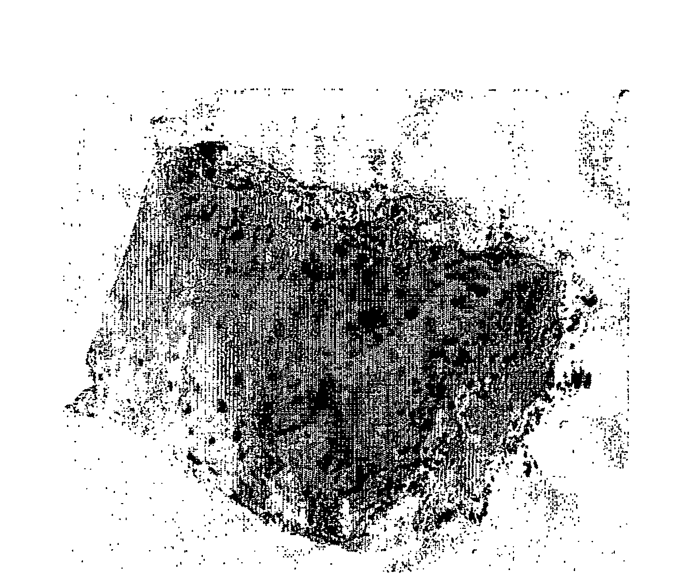 Cohesive coprecipitates of sulfated polysaccharide and fibrillar protein and use thereof