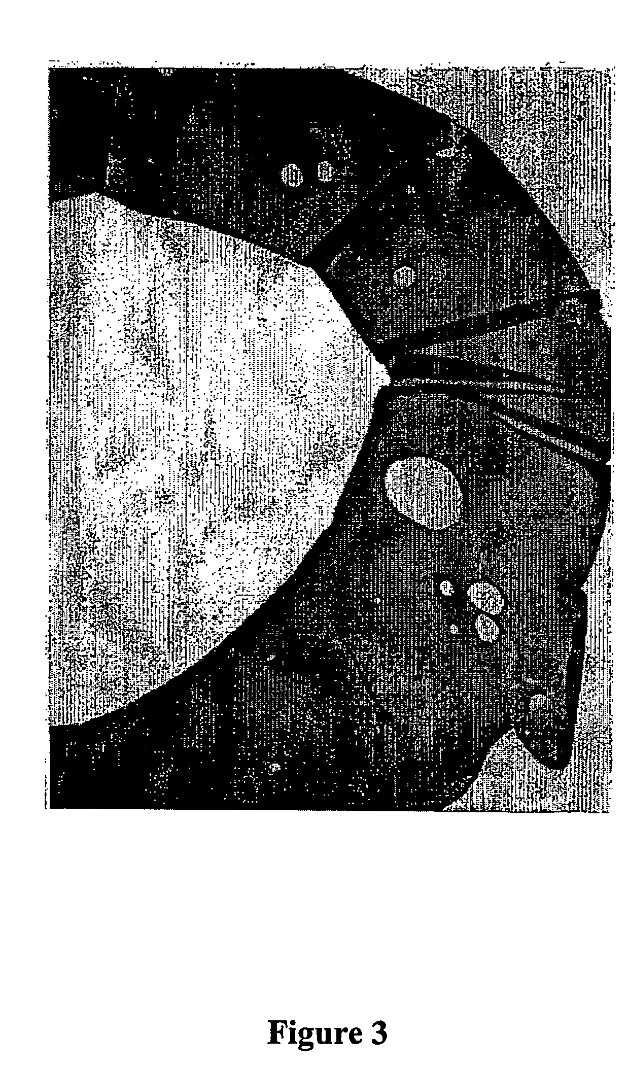 Cohesive coprecipitates of sulfated polysaccharide and fibrillar protein and use thereof