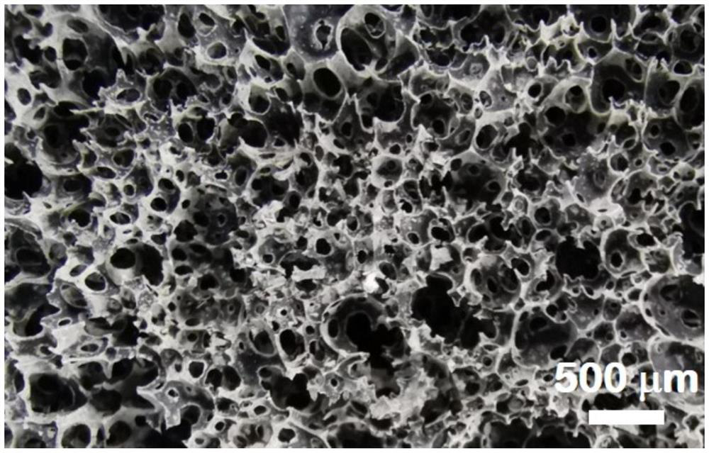 A kind of foam geopolymer adsorption material and its preparation method and application