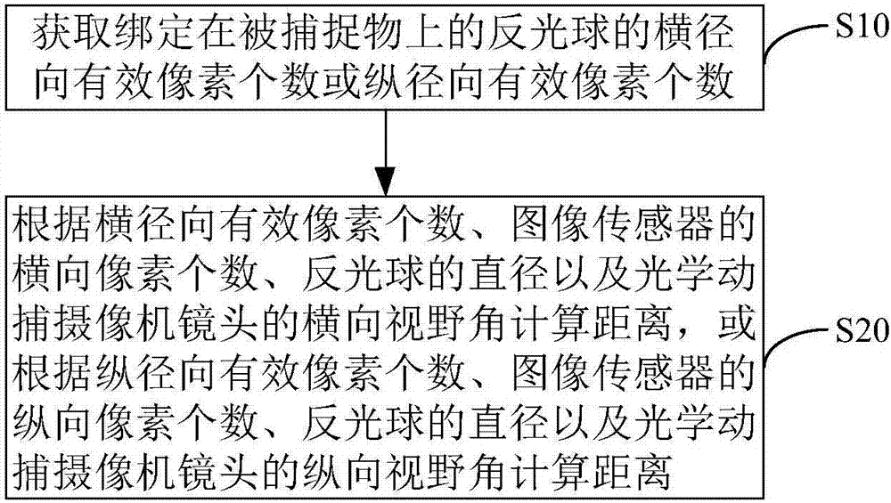 Method and device for brightness adjustment of infrared light source and optical action capturing camera