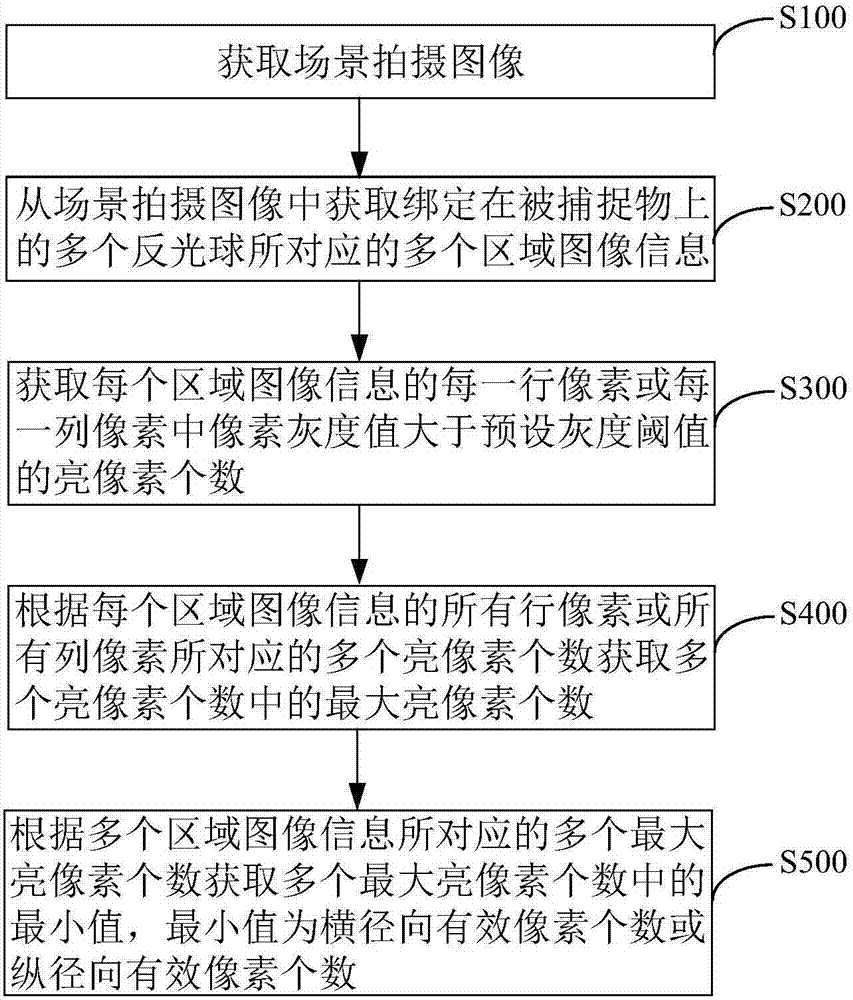 Method and device for brightness adjustment of infrared light source and optical action capturing camera