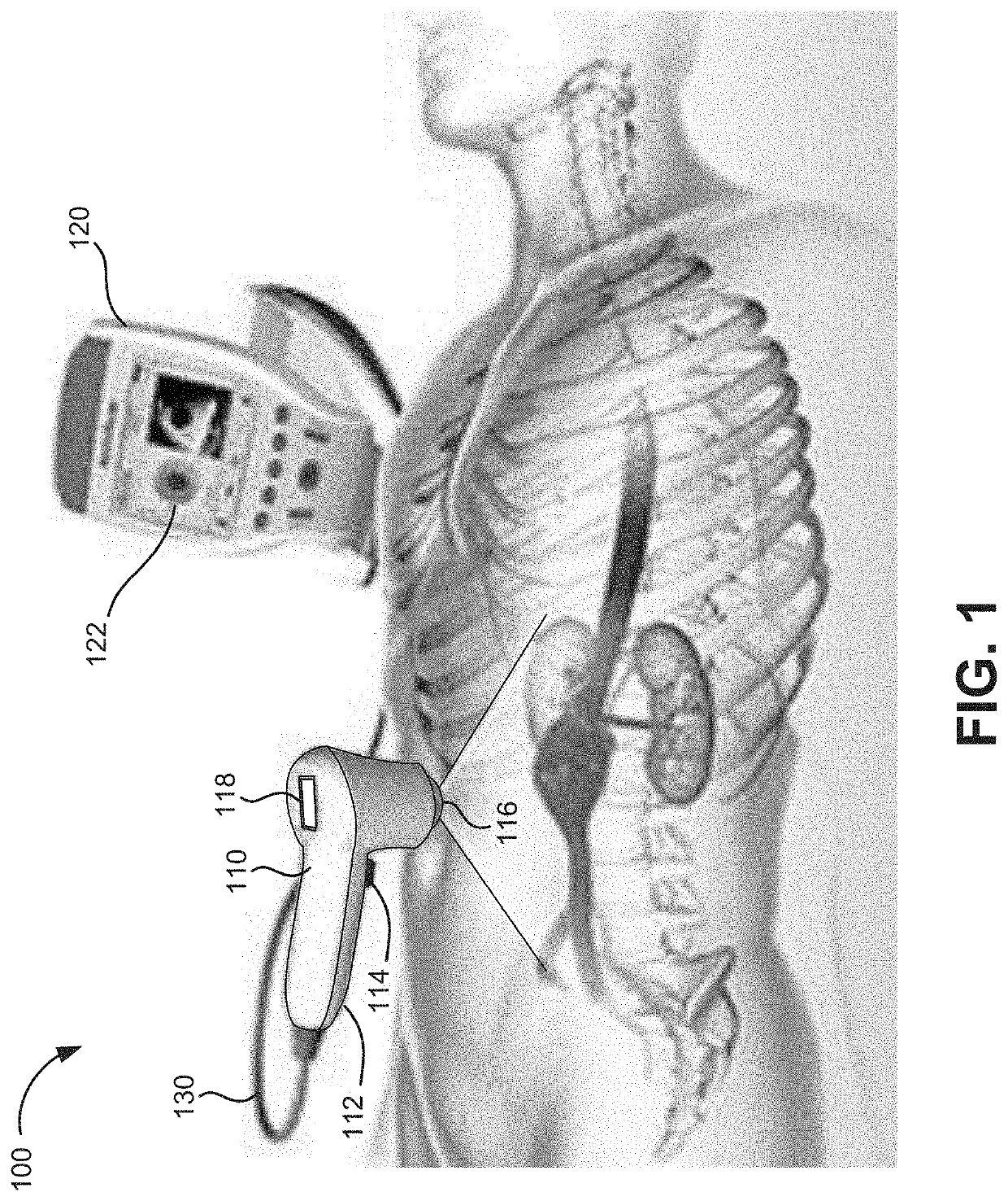 Systems and methods for quantitative abdominal aortic aneurysm analysis using 3D ultrasound imaging