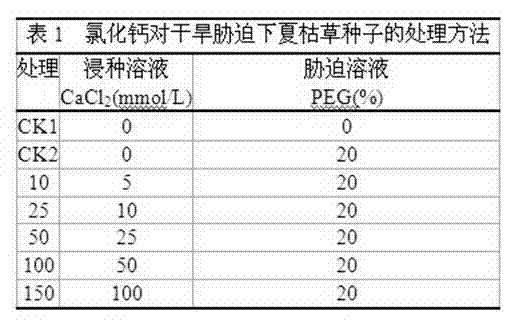 Seed treatment method for simultaneously promoting drought resistance and salt tolerance of selfheal seeds