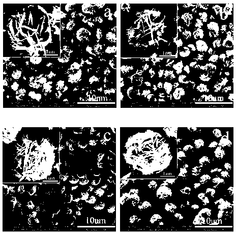 Method for improving photocatalytic activity of bismuth tungstate through excessive Bi source