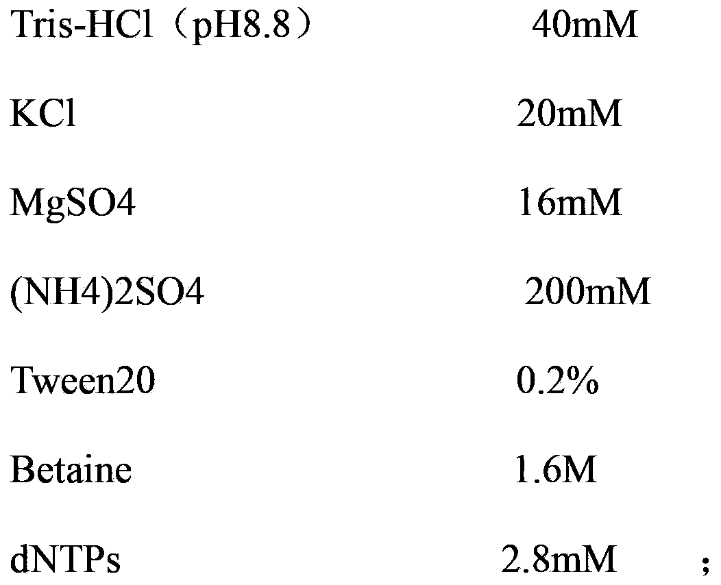 Primer and kit as well as method for detecting cymbidium mosaic virus