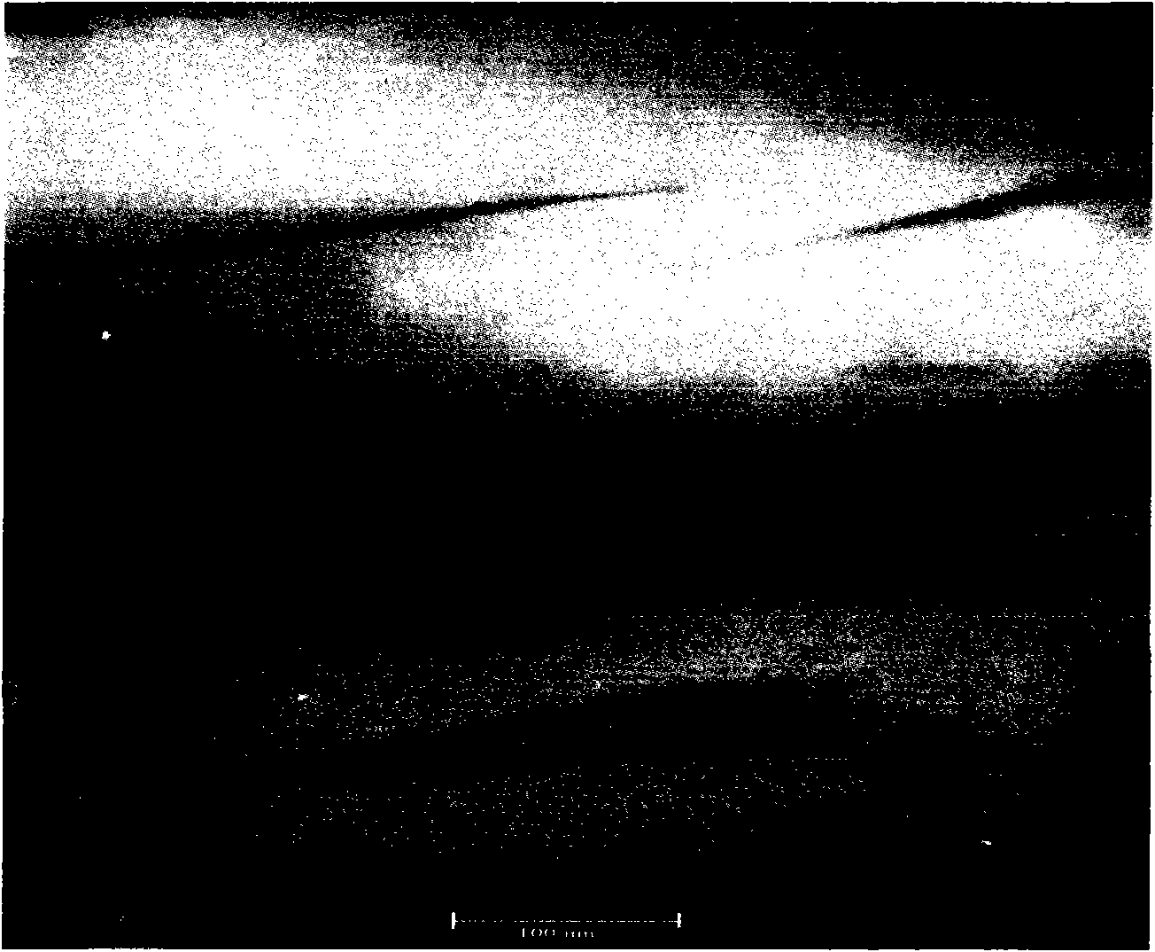 Polypropylene/ organic montmorillonite nano composite material and preparation method thereof