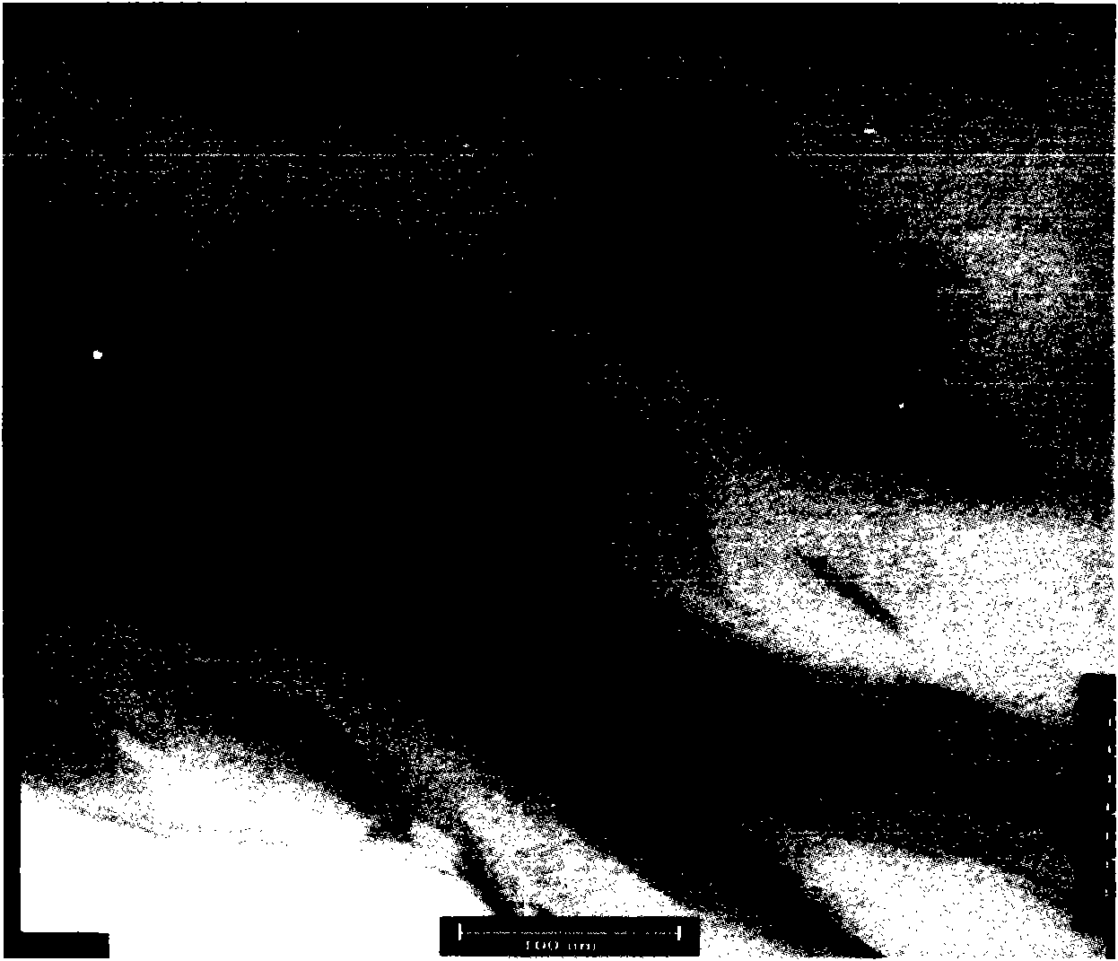 Polypropylene/ organic montmorillonite nano composite material and preparation method thereof