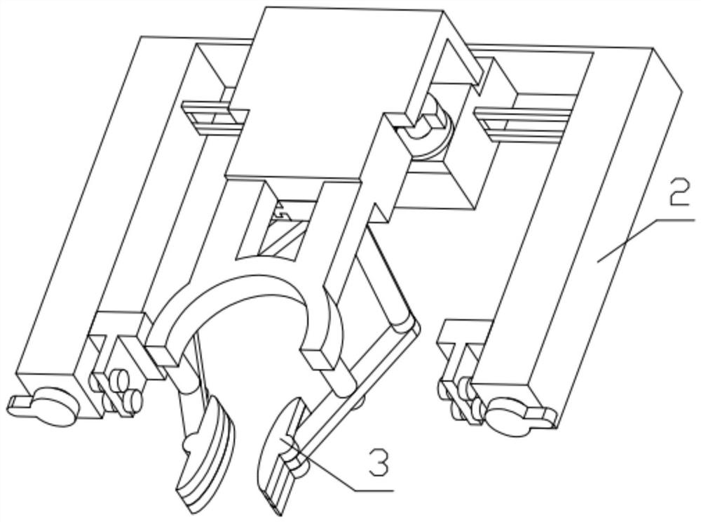 A massage rehabilitation device for limbs