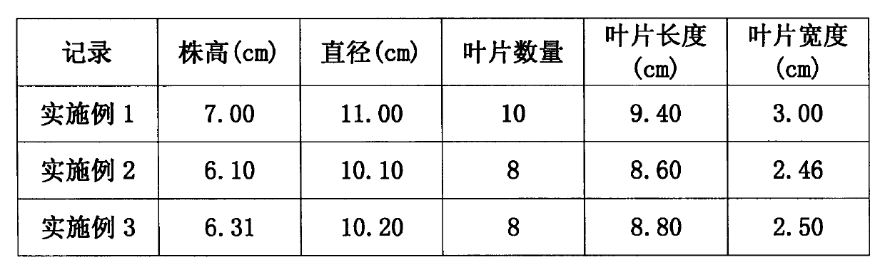 Hydroponic nutrient solution of endive