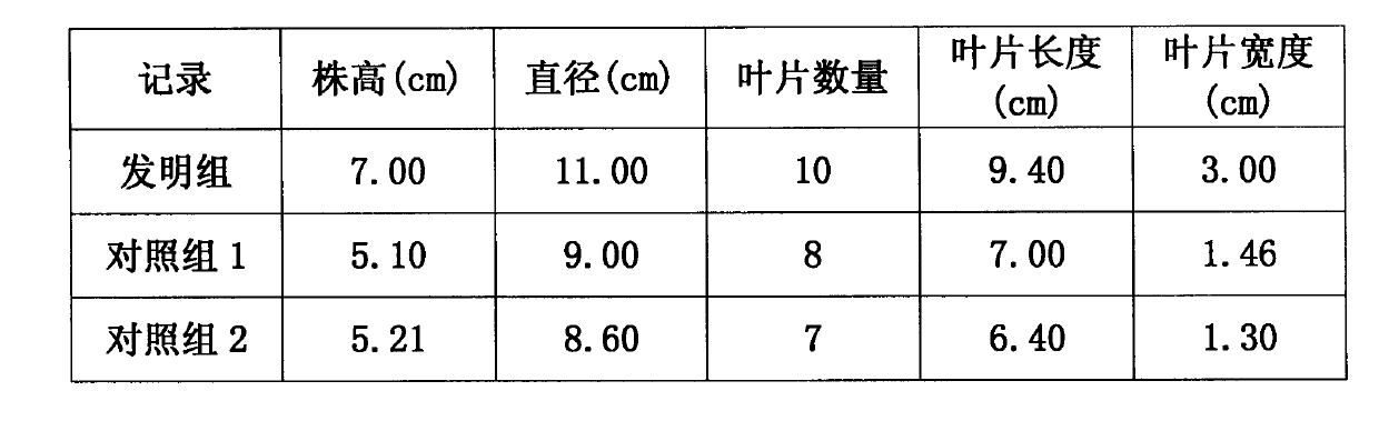 Hydroponic nutrient solution of endive