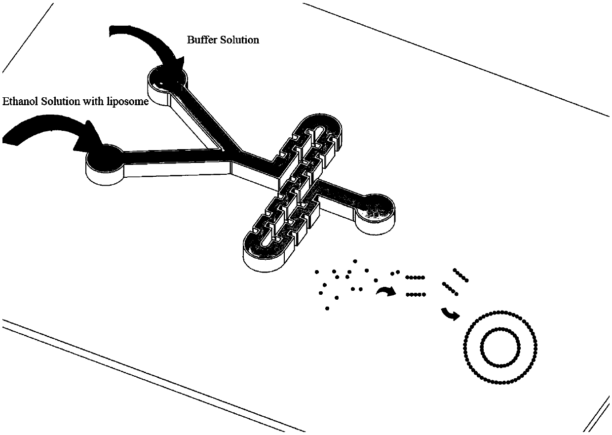 Controllable preparation method of liposome vesicle based on microfluidic device