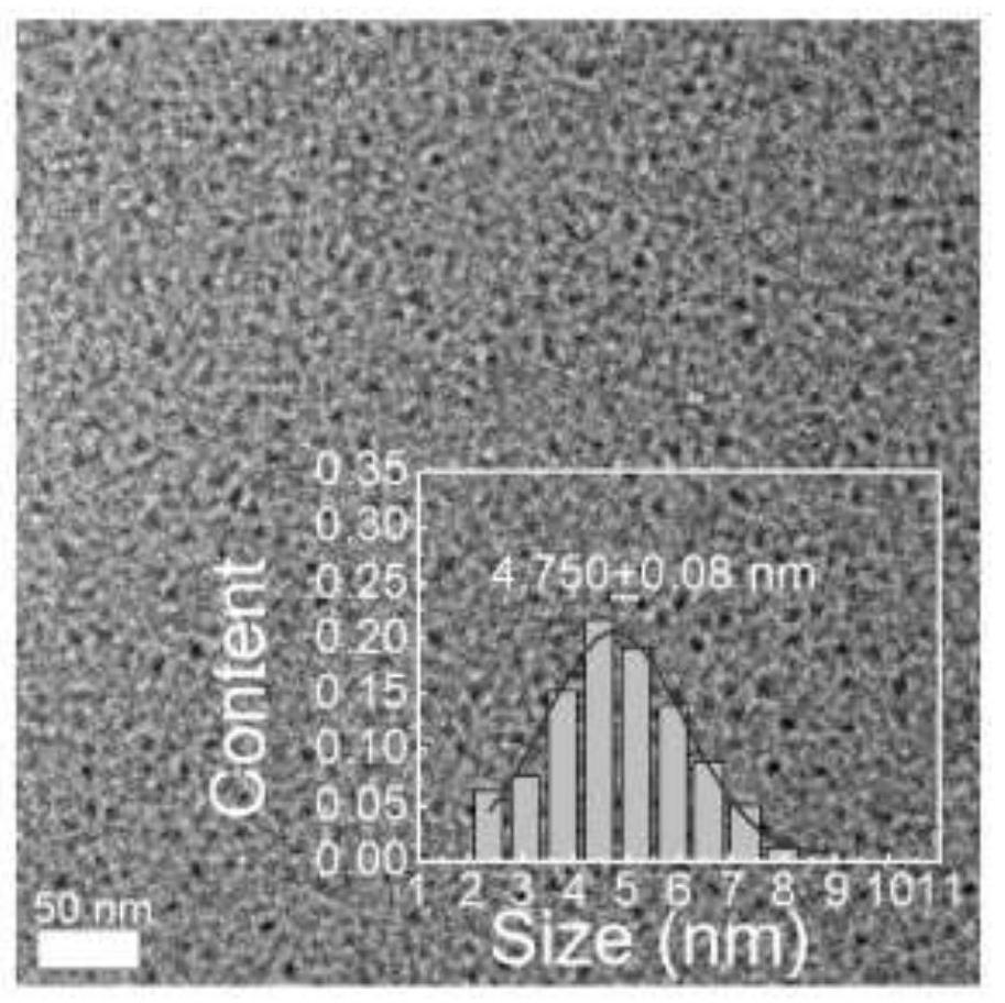 Bovine serum albumin-tea polyphenol-molybdenum nano-composite and application thereof