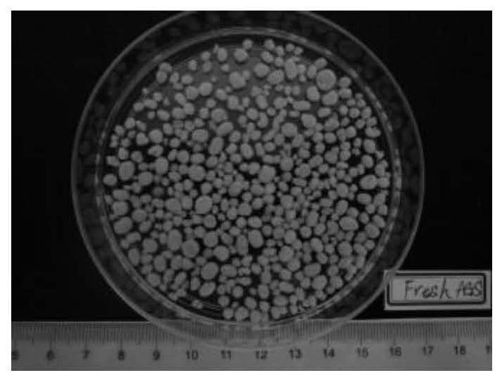 A kind of storage method of aerobic granular sludge