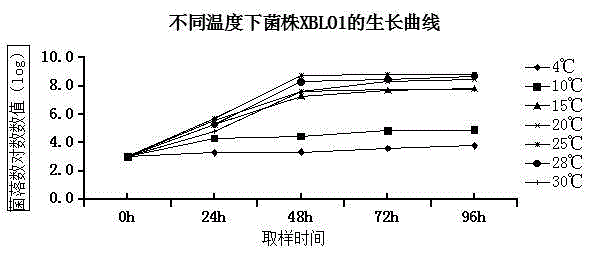 Debaryomyces hansenii strain and applications thereof