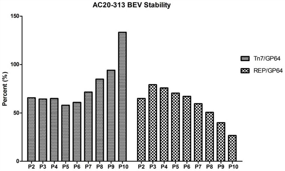 Preparation method, system and recombinant bacmid of a recombinant adeno-associated virus