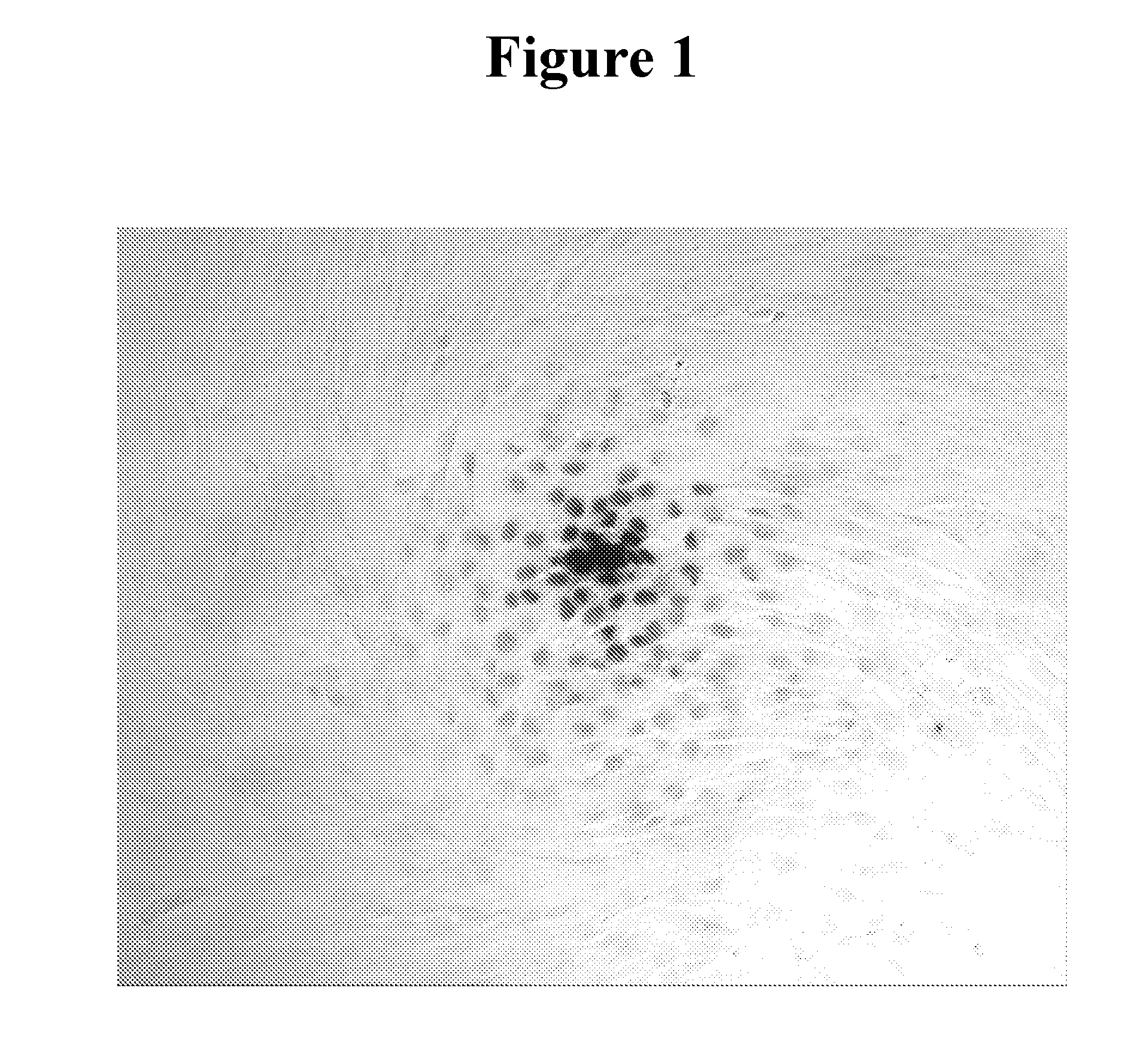 Methods for dna-dependent targeting of a cell permeant antibody