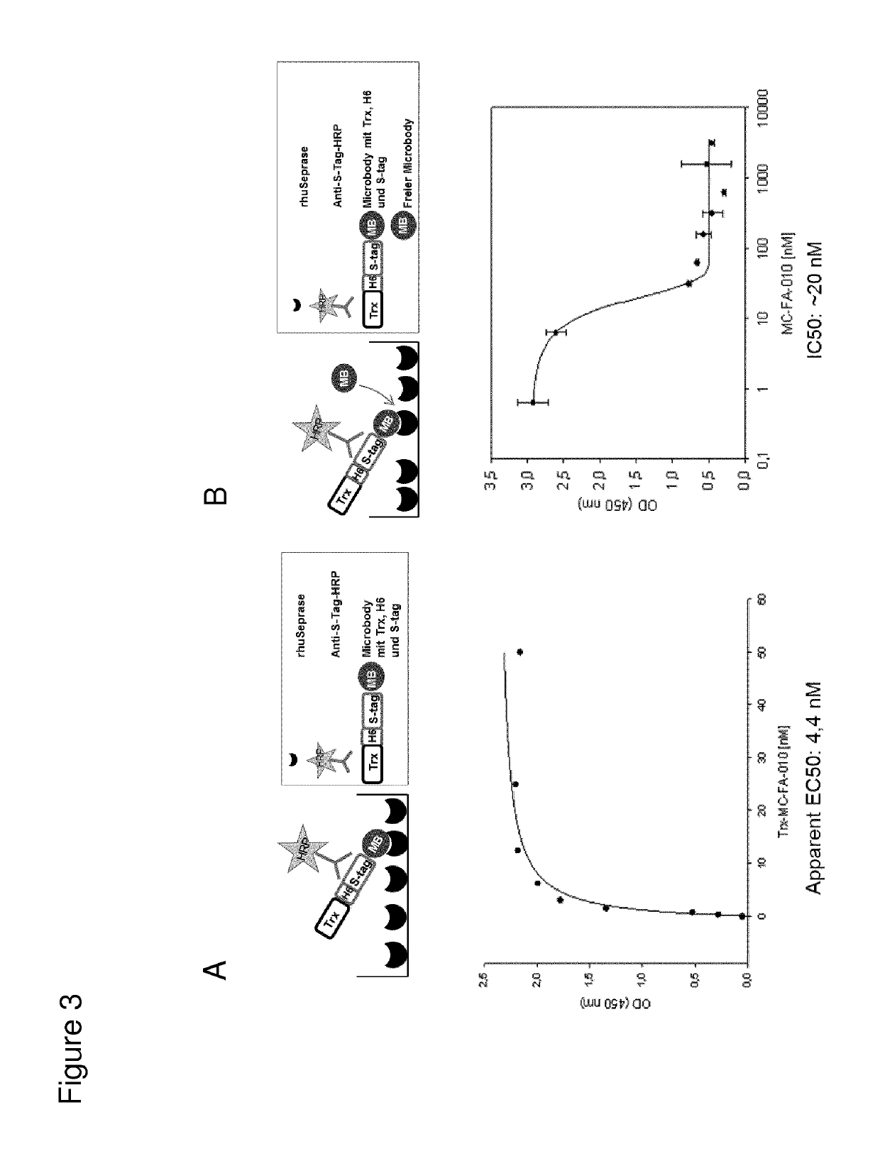 Compositions and methods for diagnosis and treatment of cancer