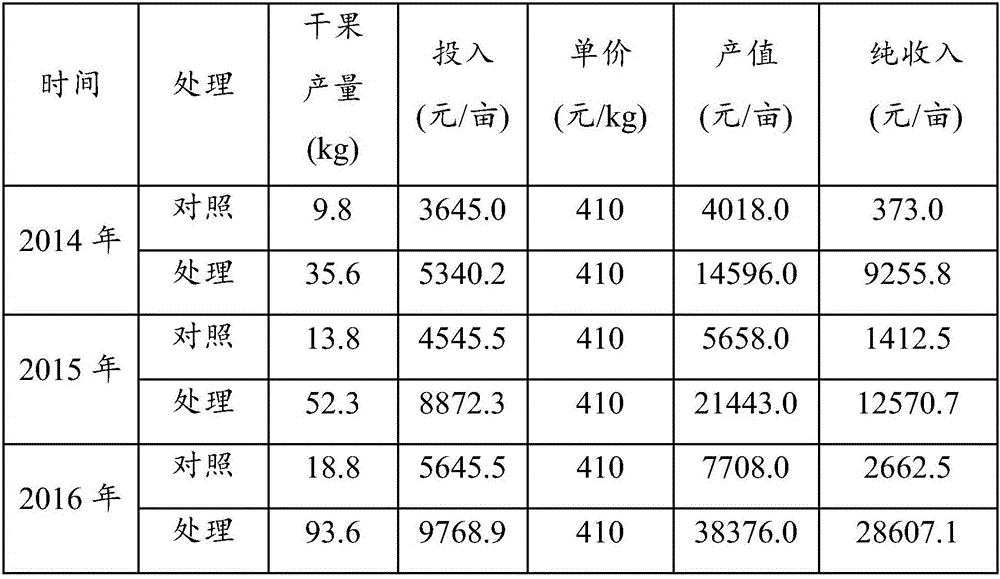 Method for planting lycium ruthenicum in sandy land