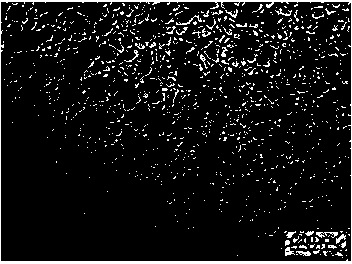 Magnesium alloy with good millability and preparation method of magnesium alloy plate