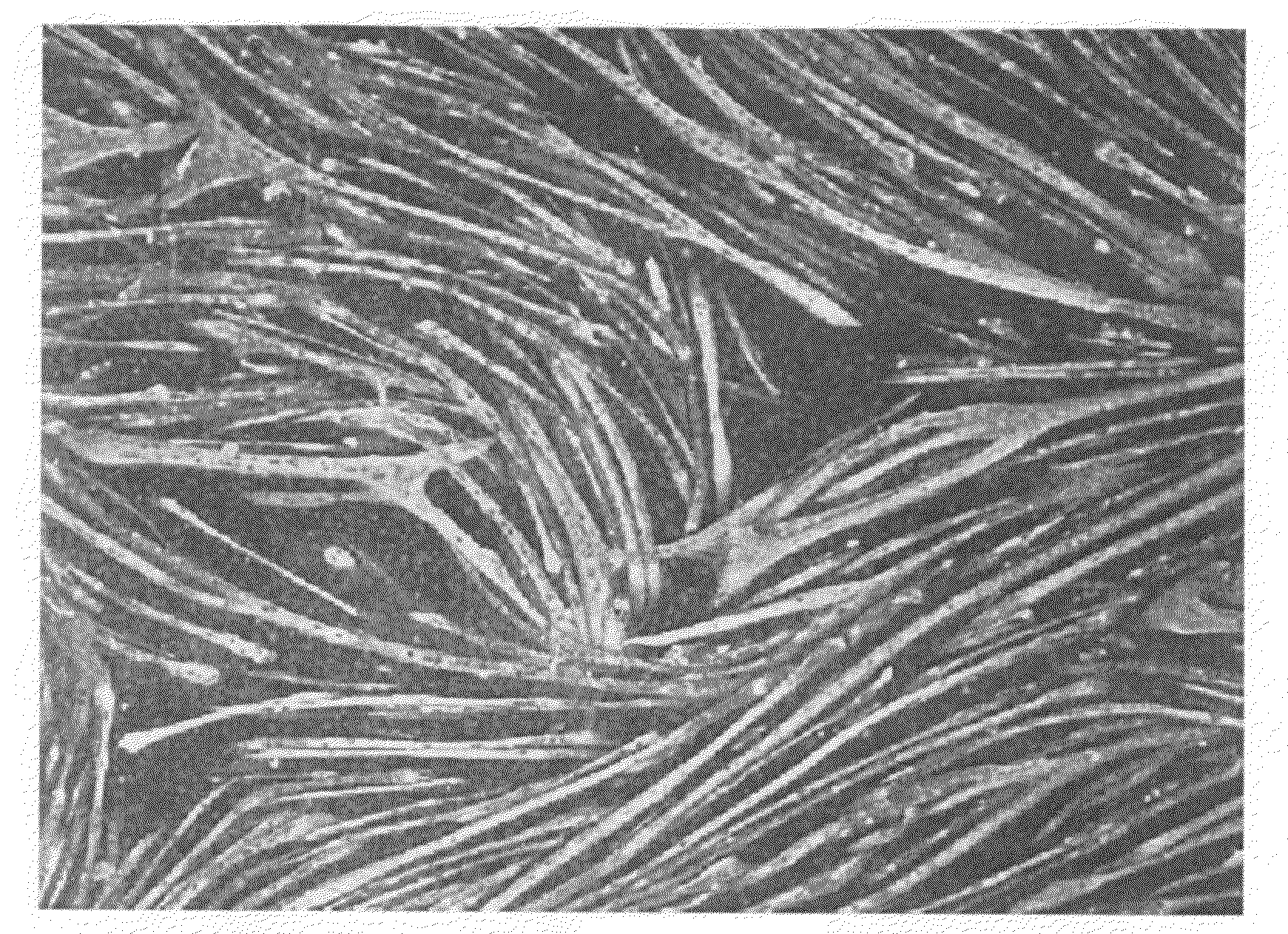 Methods and compositions for treating metabolic disorders